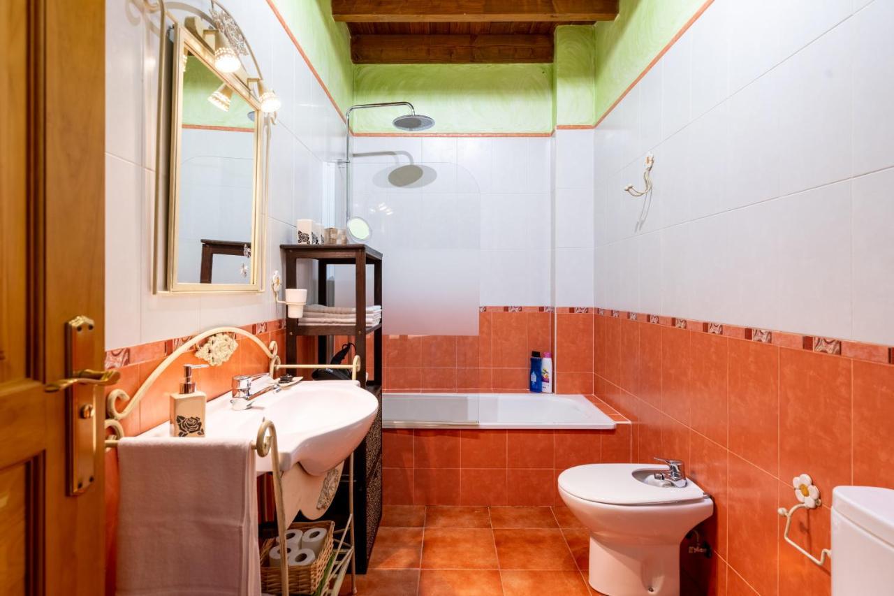 Vll Vivienda Rural A Las Puertas De Donana 비야만리케 데 라 콘데사 외부 사진