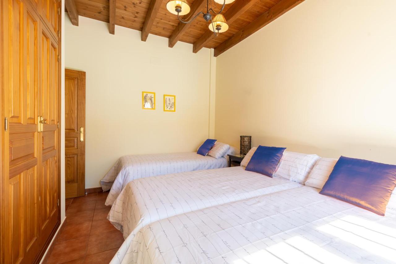 Vll Vivienda Rural A Las Puertas De Donana 비야만리케 데 라 콘데사 외부 사진