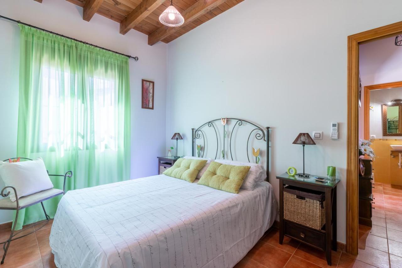 Vll Vivienda Rural A Las Puertas De Donana 비야만리케 데 라 콘데사 외부 사진